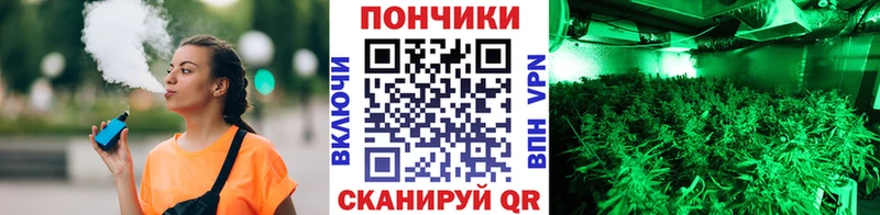 Канабис марихуана  Каменногорск 